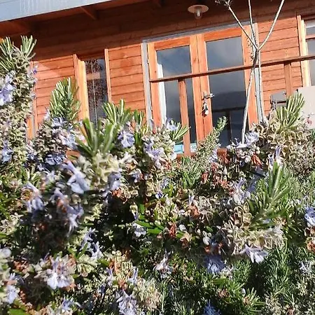 Mare E Legnu Bed & Breakfast *