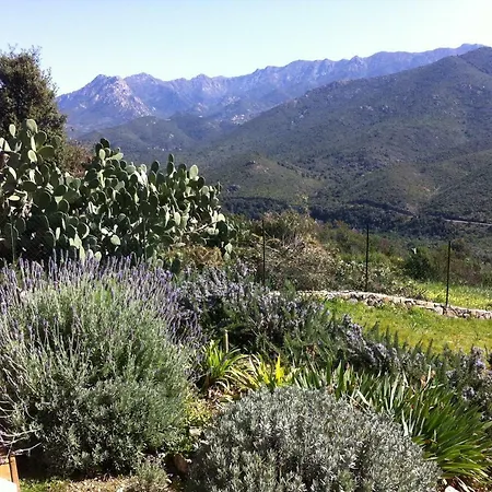 Bed & Breakfast Mare E Legnu Peri