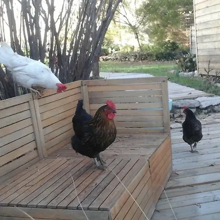 Bed & Breakfast Mare E Legnu 3*