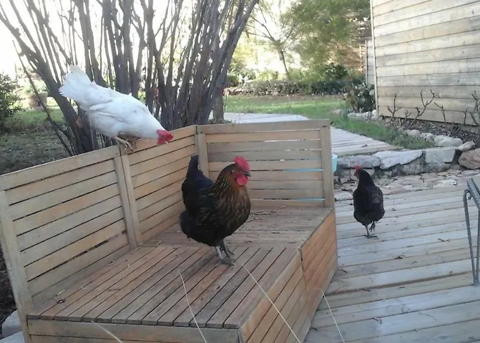 Bed & Breakfast Mare E Legnu 3*